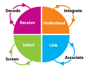 eLearning-development-visuer-custom-learning-experience